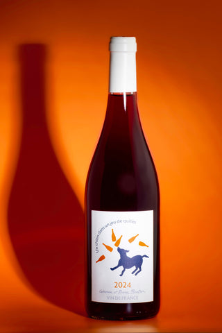 Un chien dans un jeu de quilles