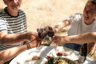 Un chien dans un jeu de quilles