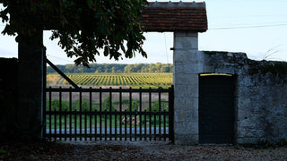 The Chinon Apartment