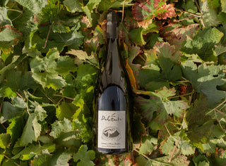 Magnums Dilettante x3