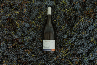 Magnums - Panachage rouge x3